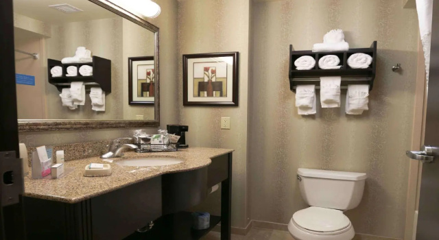 Четырёхместный номер Standard Hampton Inn & Suites McAlester