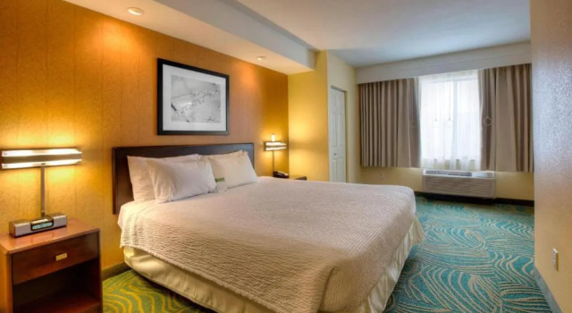 Студия SpringHill Suites by Marriott - Tampa Brandon