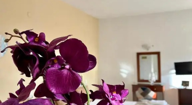 Номер Economy Nautica Hotel Apartments