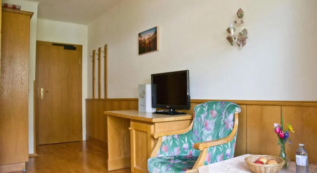 Одноместный номер Standard Hotel Matschner