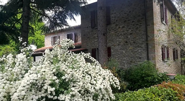 Villa Tacco, Rezervasyon Villa Quarata Toskana