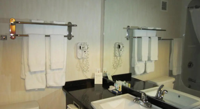 Люкс Executive c 1 комнатой Woodlands Inn & Suites
