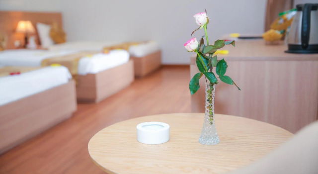 Двухместный номер Deluxe Long Anh Hotel