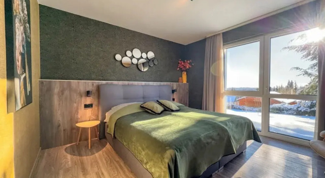 Двухместный номер Comfort Berghotel Hohegeiß