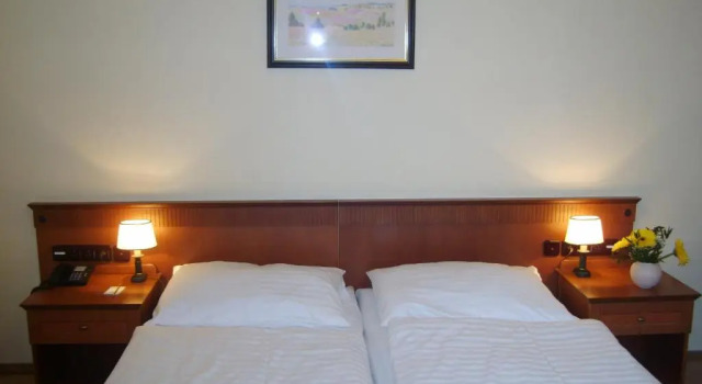 Двухместный номер Standard Parkhotel Richmond
