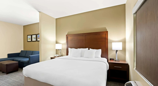 Двухместный люкс Comfort Inn & Suites High Point - Archdale