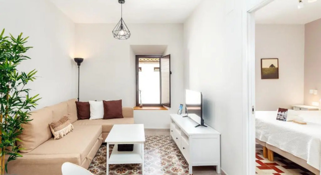 Апартаменты c 1 комнатой Apartamentos Plaza Mayor 35