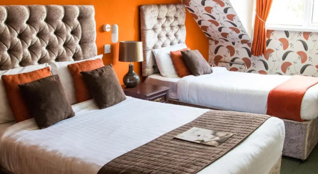 Двухместный номер Standard White Hart Llandeilo