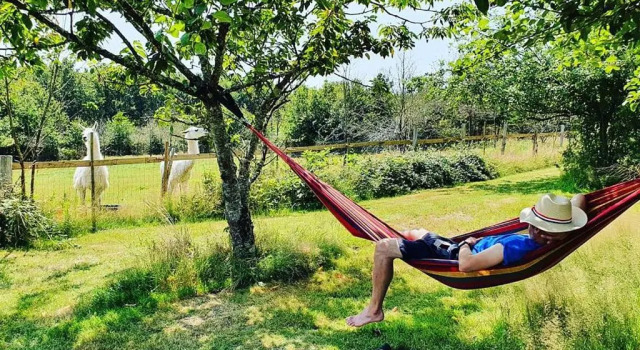 Номер Standard Loire Valley Llama Farm Stay