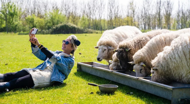 Overe - The Farm Camp