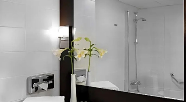 Люкс Deluxe Park Plaza Eindhoven