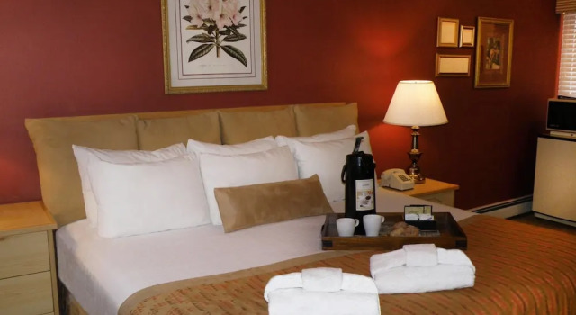 Двухместный номер Deluxe The River's Edge Motel Lodge & Resort