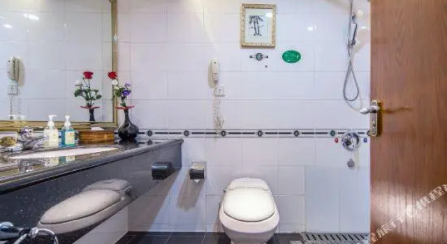 Двухместный номер Standard Phoenix Hotel