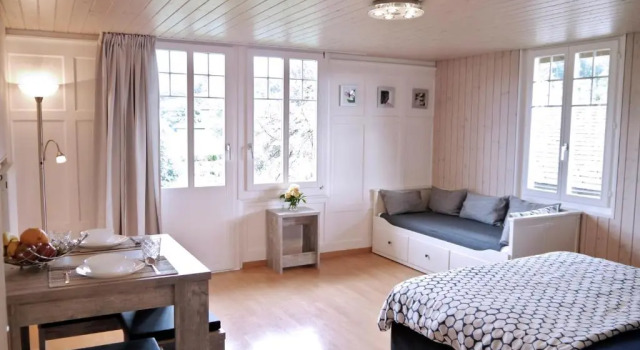 Студия с видом на озеро Chalet Maria Interlaken