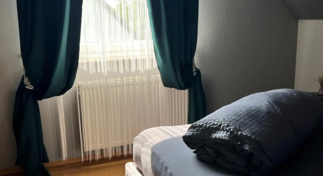 LifeStyle Apartment Sinsheim