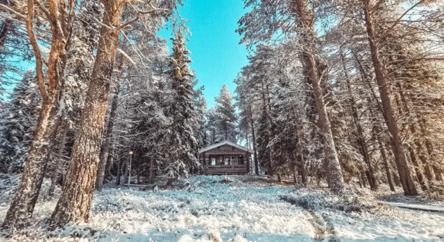 Номер Standard Taigaschool Eco Hotel