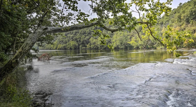Коттедж Shenandoah River Getaway < 9 Mi to Downtown Luray!