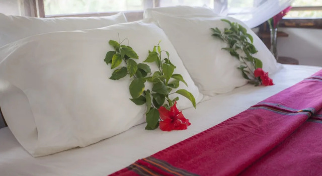 Cotton Tree Lodge, Buchen Sie Hotel Punta Gorda 