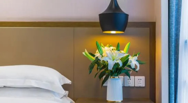 Полулюкс Viola Hotel Express