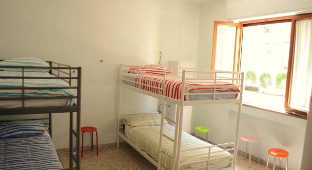 Olive Tree - Hostel