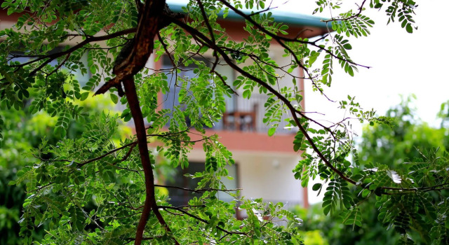 Grand & Gangula
