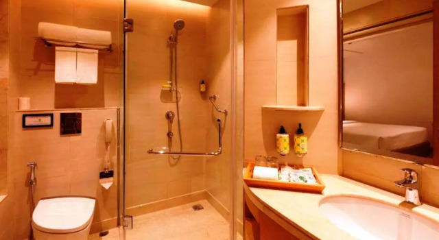 Двухместный номер Deluxe Lemon Tree Hotel Lucknow Airport