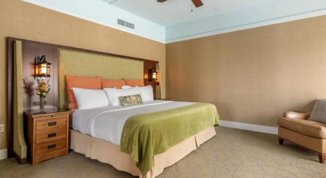 Номер Standard с видом на горы The Omni Grove Park Inn & Spa - Asheville