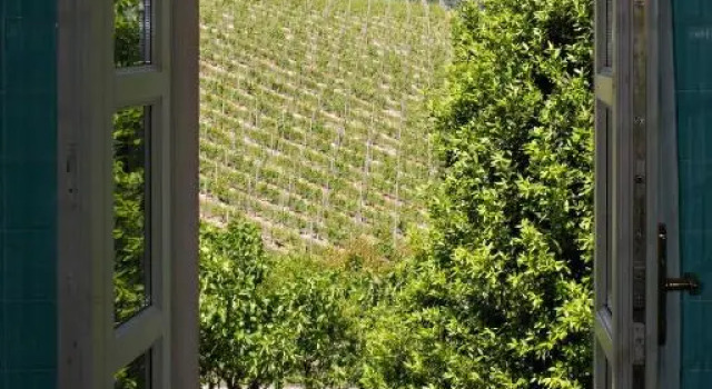 Номер Superior La Giribaldina Winery & Farmhouse