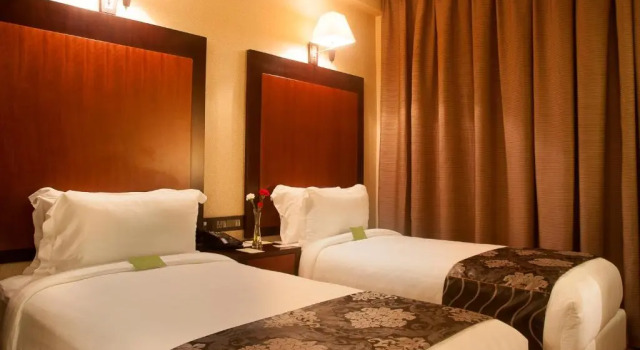 Номер Premium Park Avenue Hotel Nungambakkam