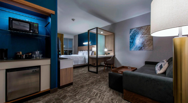 Двухместный люкс SpringHill Suites by Marriott Gallup