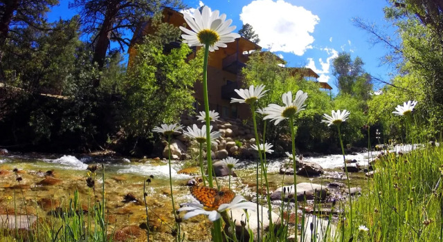 Четырёхместный номер Standard с балконом Mount Princeton Hot Springs Resort