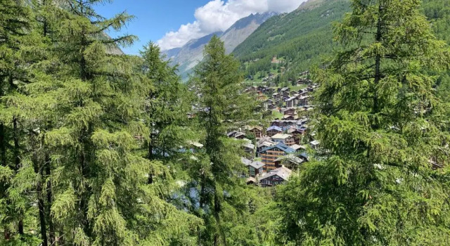 Апартаменты с 2 комнатами Apartments Zermatt Paradies