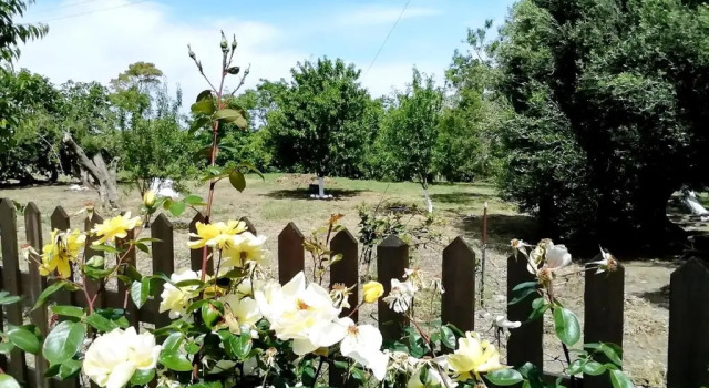 Вилла Villa Marietta