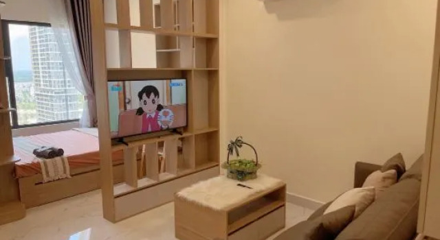 Phong Linh Homestay 30 apartments Vinhomes Grand Park