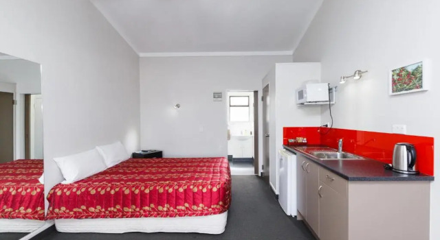 Двухместная студия Manfeild Park Motel