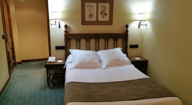 Одноместный номер Standard Hotel Ele Puente Romano de Salamanca