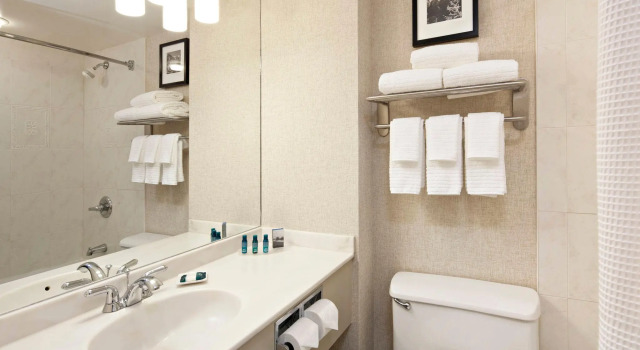 Номер Deluxe Delta Hotels Calgary Airport In-Terminal