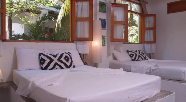 Casa Coraje, Book Hotel Hotels in Palomino with Parking, Parking