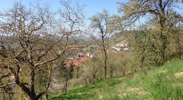 Четырёхместный номер Standard Hotel Alte Rose Gasthaus