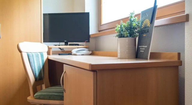 Одноместный номер Standard Hotel Sonja