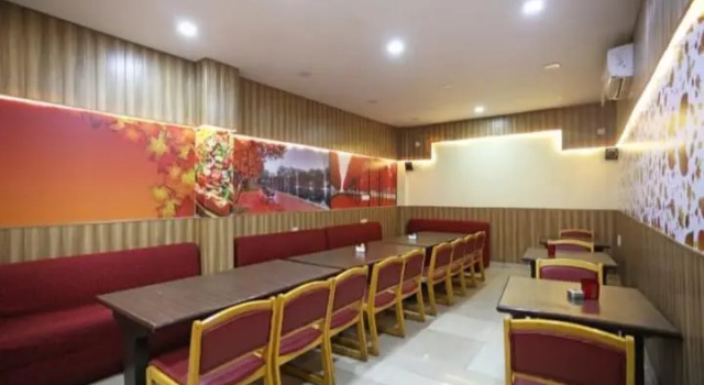 Одноместный номер Deluxe Hotel Kota Royal