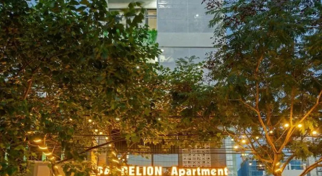 Dandelion Apartment