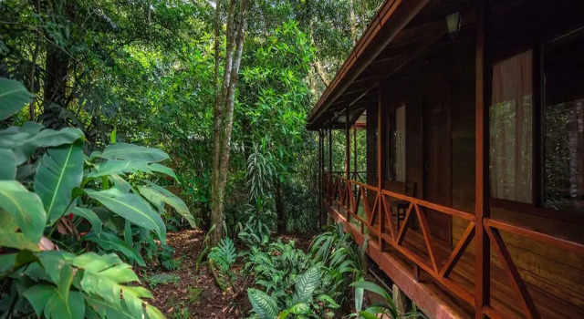 Номер Superior Jaguarundi Jungle Lodge - Monteverde