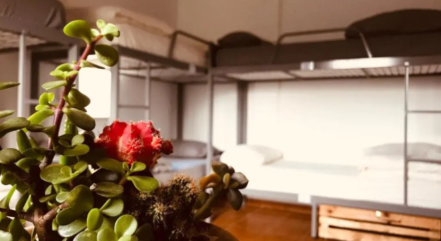 Кровать в общем номере Al Yakhour Hostel