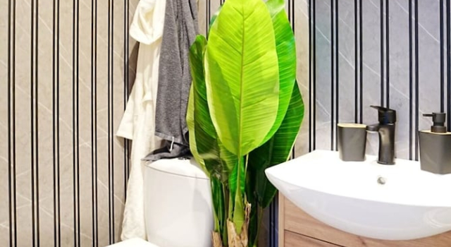 Апартаменты Standard Cofy Rentals