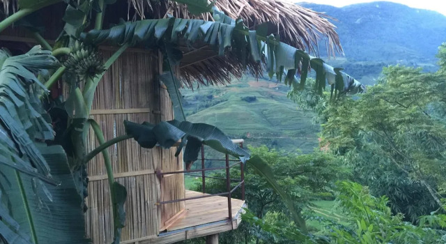 Бунгало с балконом и с видом на горы Eco Hills Homestay