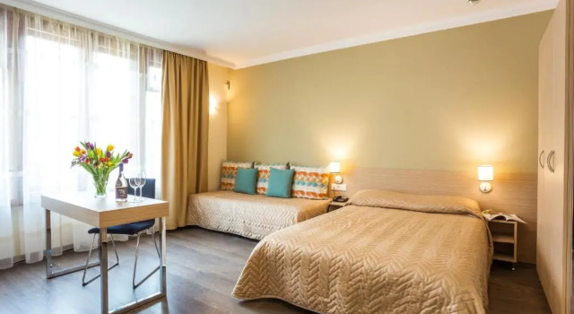 Двухместный номер Deluxe Geneva Hotel