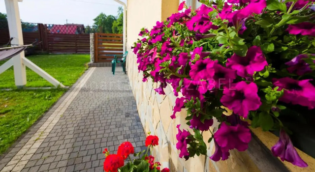Апартаменты Apartament Izabel