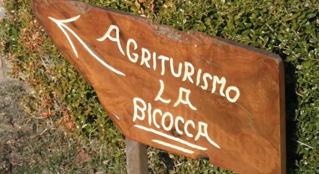 Коттедж Agriturismo La Bicocca - Apt LOlivo