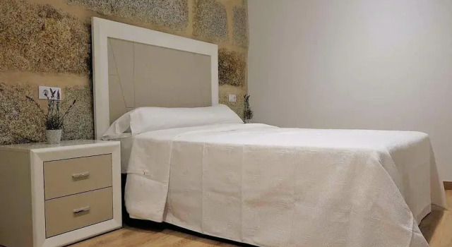 Apartment in Ourense near Hot Springs, Book Apartment Orense 